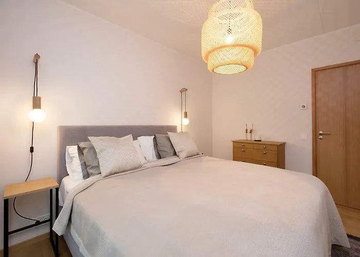 Apartament Tp - Center *